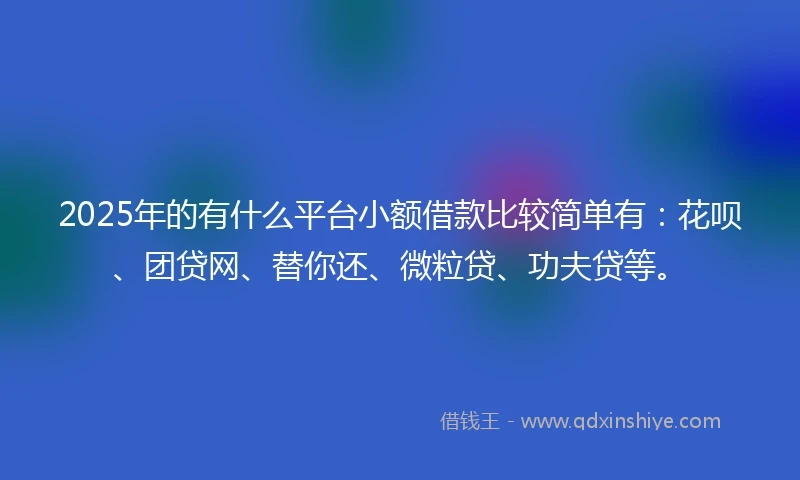 2025年的有什么平台小额借款比较简单有：花呗、团贷网、替你还、微粒贷、功夫贷等。