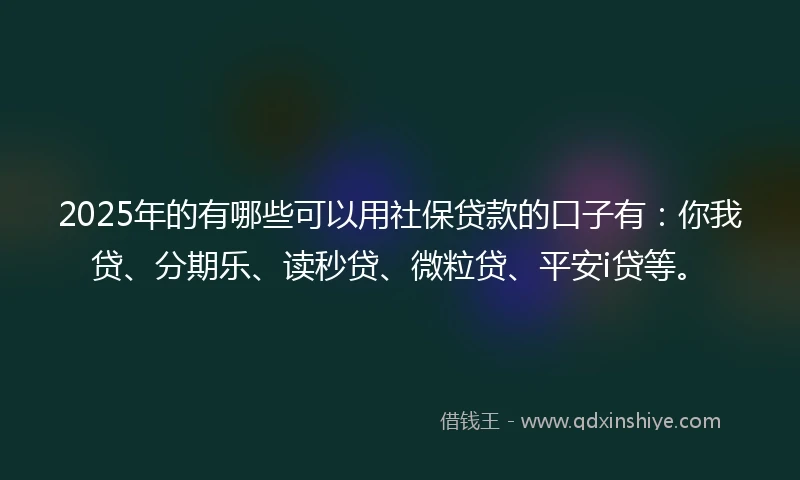 2025年的有哪些可以用社保贷款的口子有：你我贷、分期乐、读秒贷、微粒贷、平安i贷等。