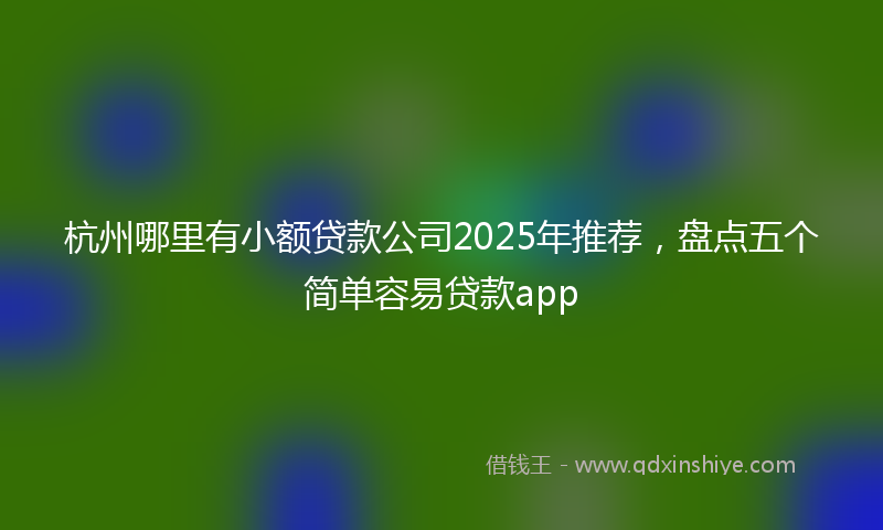杭州哪里有小额贷款公司2025年推荐，盘点五个简单容易贷款app