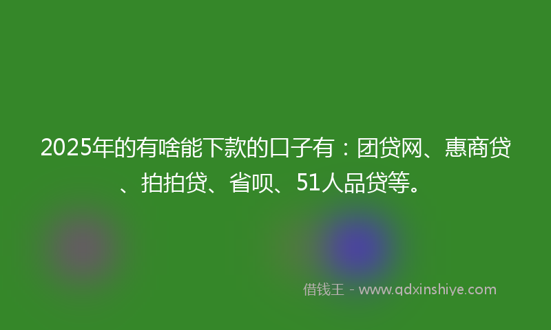 2025年的有啥能下款的口子有：团贷网、惠商贷、拍拍贷、省呗、51人品贷等。