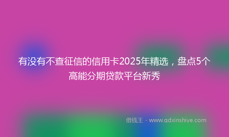 有没有不查征信的信用卡2025年精选，盘点5个高能分期贷款平台新秀