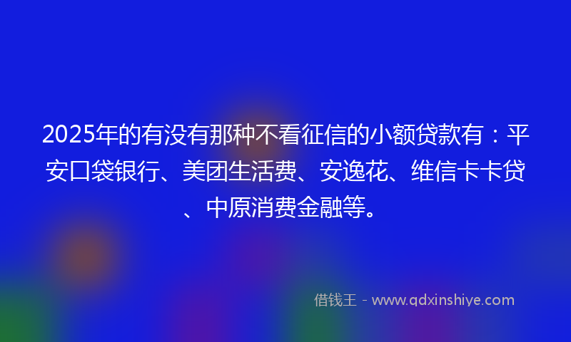 2025年的有没有那种不看征信的小额贷款有：平安口袋银行、美团生活费、安逸花、维信卡卡贷、中原消费金融等。