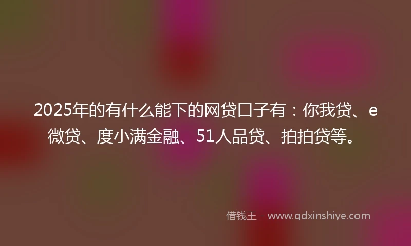 2025年的有什么能下的网贷口子有：你我贷、e微贷、度小满金融、51人品贷、拍拍贷等。