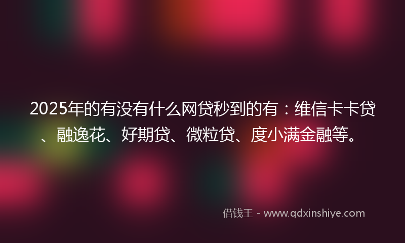 2025年的有没有什么网贷秒到的有：维信卡卡贷、融逸花、好期贷、微粒贷、度小满金融等。