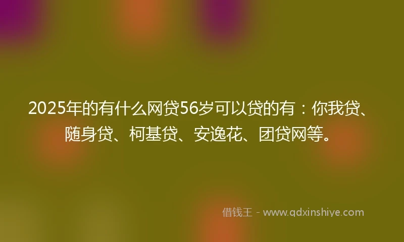 2025年的有什么网贷56岁可以贷的有：你我贷、随身贷、柯基贷、安逸花、团贷网等。