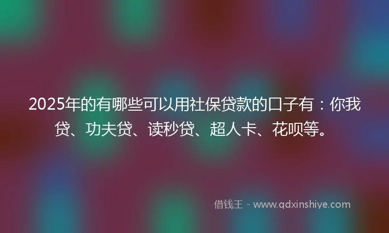 2025年的有哪些可以用社保贷款的口子有：你我贷、功夫贷、读秒贷、超人卡、花呗等。