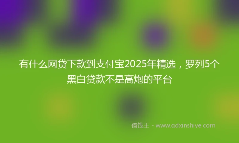有什么网贷下款到支付宝2025年精选，罗列5个黑白贷款不是高炮的平台