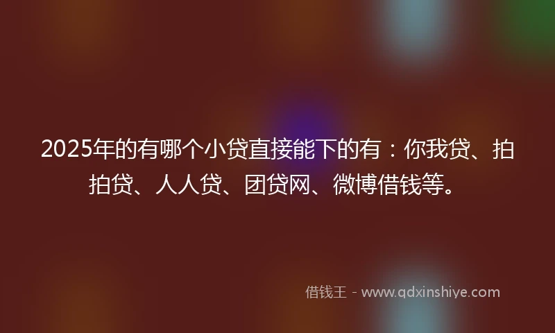 2025年的有哪个小贷直接能下的有：你我贷、拍拍贷、人人贷、团贷网、微博借钱等。