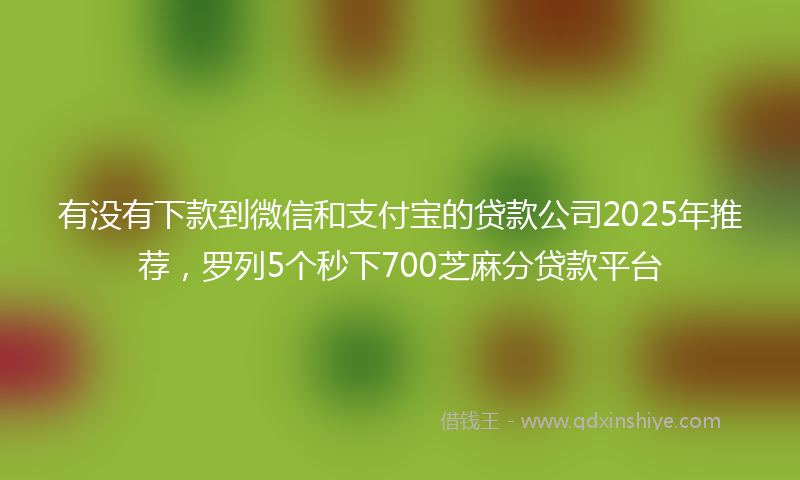 有没有下款到微信和支付宝的贷款公司2025年推荐,罗列5个秒下700芝麻分贷款平台