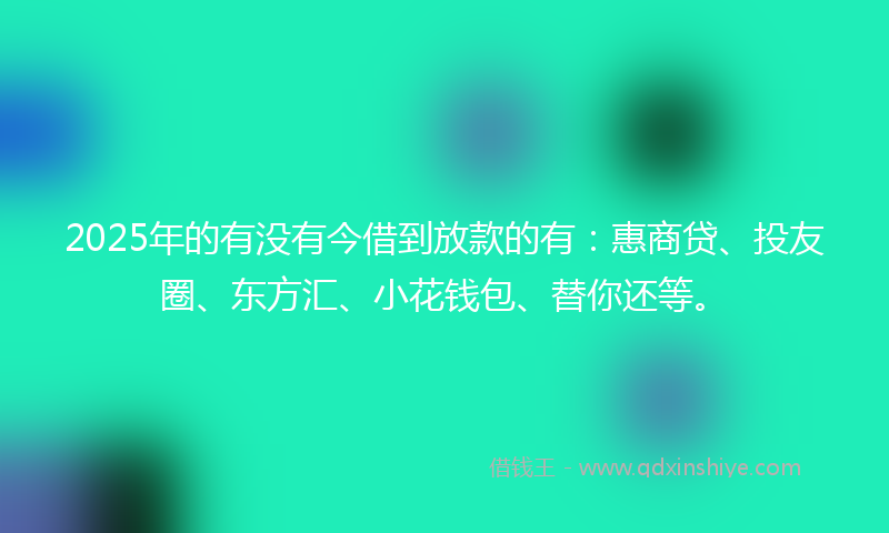 2025年的有没有今借到放款的有：惠商贷、投友圈、东方汇、小花钱包、替你还等。