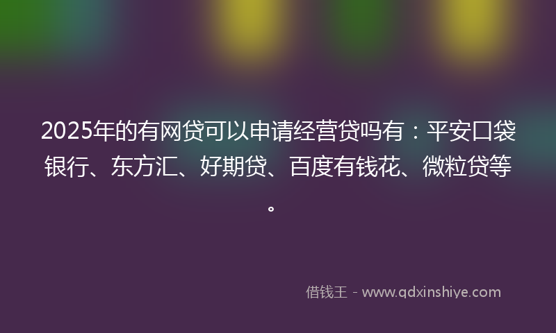 2025年的有网贷可以申请经营贷吗有：平安口袋银行、东方汇、好期贷、百度有钱花、微粒贷等。
