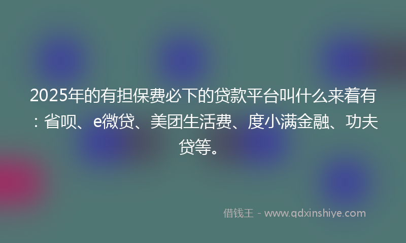 2025年的有担保费必下的贷款平台叫什么来着有：省呗、e微贷、美团生活费、度小满金融、功夫贷等。