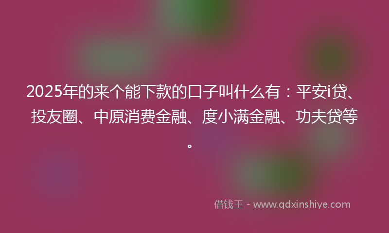 2025年的来个能下款的口子叫什么有：平安i贷、投友圈、中原消费金融、度小满金融、功夫贷等。