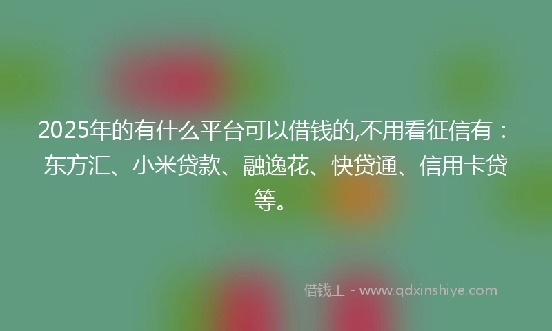 2025年的有什么平台可以借钱的,不用看征信有：东方汇、小米贷款、融逸花、快贷通、信用卡贷等。