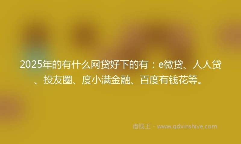 2025年的有什么网贷好下的有：e微贷、人人贷、投友圈、度小满金融、百度有钱花等。