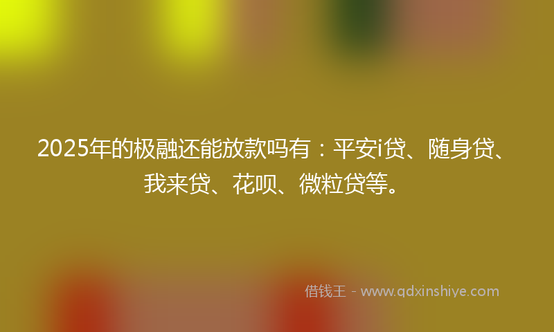 2025年的极融还能放款吗有：平安i贷、随身贷、我来贷、花呗、微粒贷等。