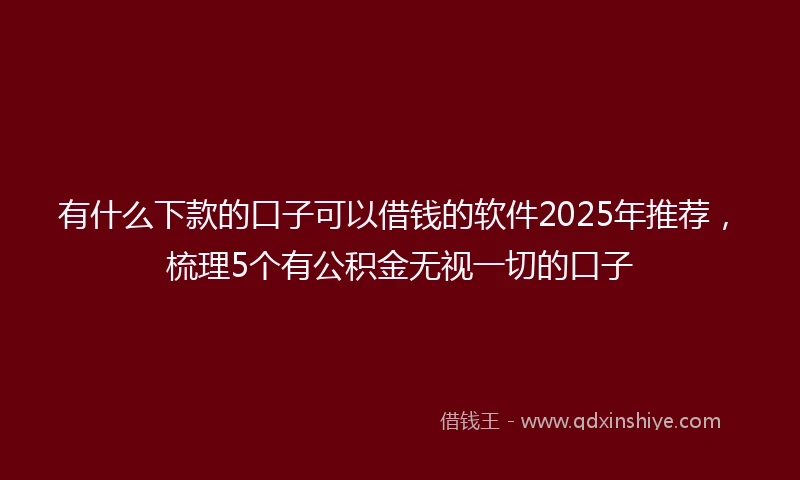 有什么下款的口子可以借钱的软件2025年推荐，梳理5个有公积金无视一切的口子