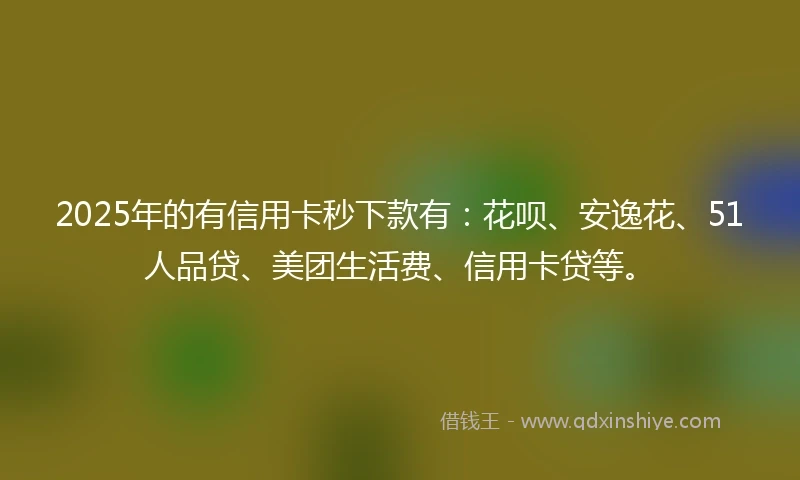 2025年的有信用卡秒下款有：花呗、安逸花、51人品贷、美团生活费、信用卡贷等。