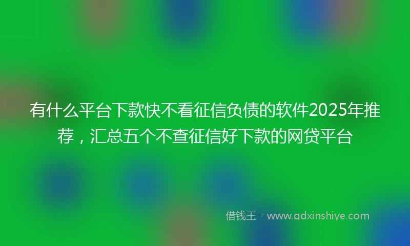 有什么平台下款快不看征信负债的软件2025年推荐，汇总五个不查征信好下款的网贷平台