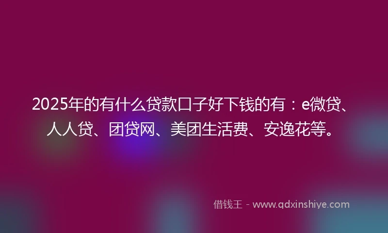 2025年的有什么贷款口子好下钱的有：e微贷、人人贷、团贷网、美团生活费、安逸花等。