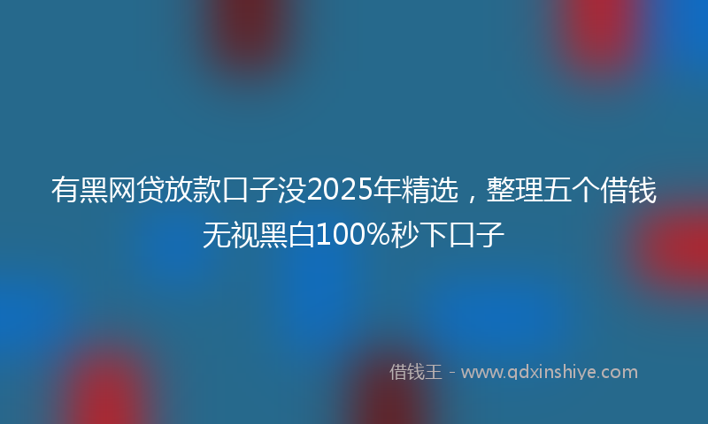有黑网贷放款口子没2025年精选，整理五个借钱无视黑白100%秒下口子