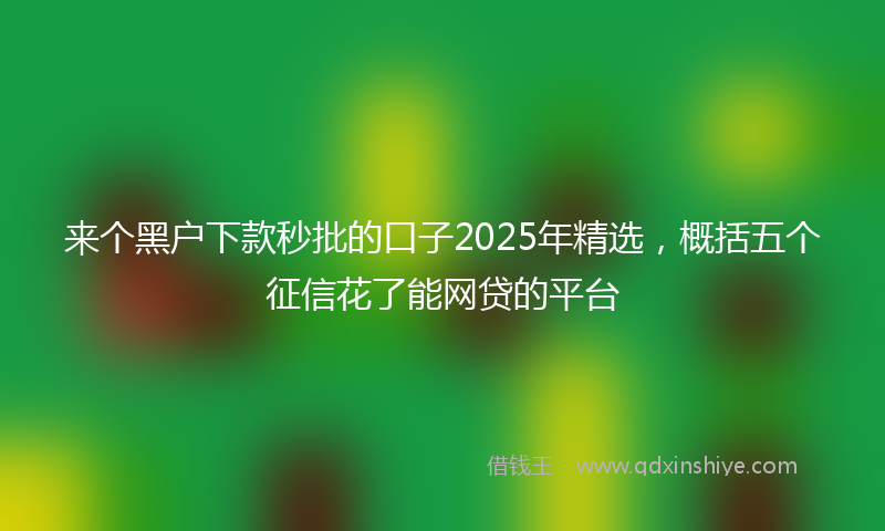 来个黑户下款秒批的口子2025年精选，概括五个征信花了能网贷的平台