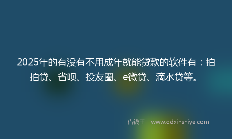 2025年的有没有不用成年就能贷款的软件有：拍拍贷、省呗、投友圈、e微贷、滴水贷等。