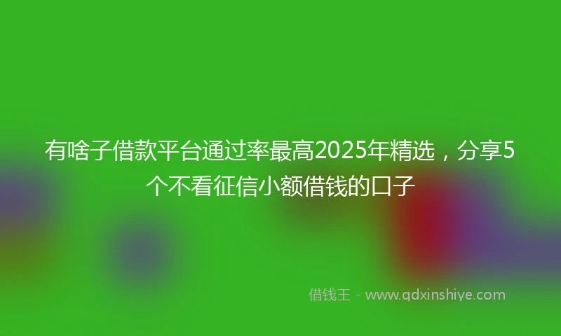 有啥子借款平台通过率最高2025年精选，分享5个不看征信小额借钱的口子