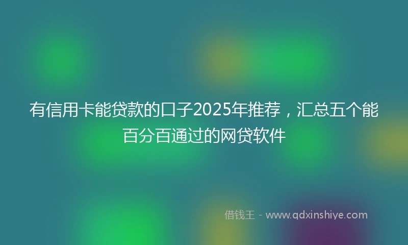 有信用卡能贷款的口子2025年推荐，汇总五个能百分百通过的网贷软件