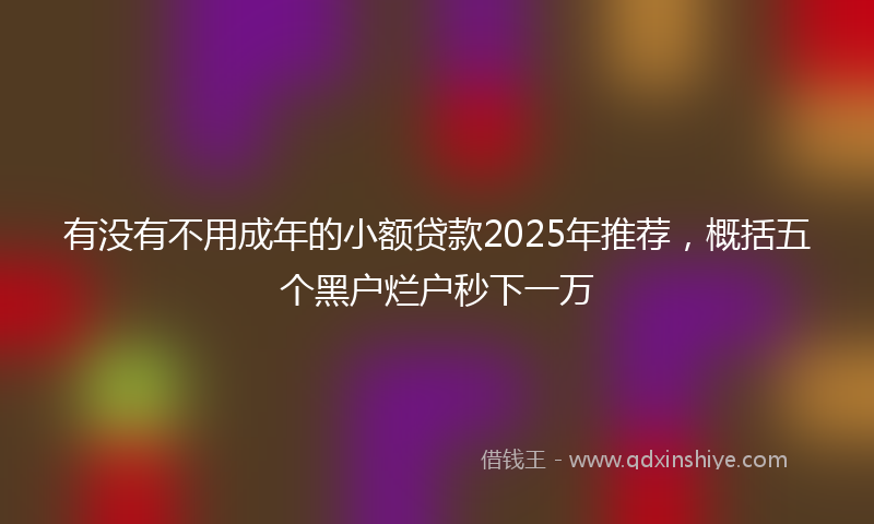 有没有不用成年的小额贷款2025年推荐，概括五个黑户烂户秒下一万