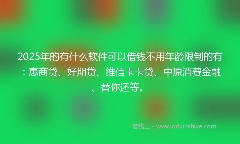 2025年的有什么软件可以借钱不用年龄限制的有：惠商贷、好期贷、维信卡卡贷、中原消费金融、替你还等。