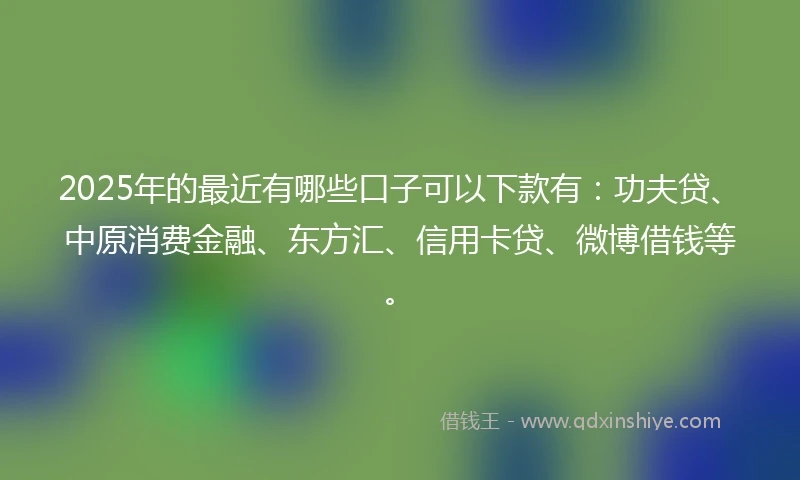 2025年的最近有哪些口子可以下款有：功夫贷、中原消费金融、东方汇、信用卡贷、微博借钱等。
