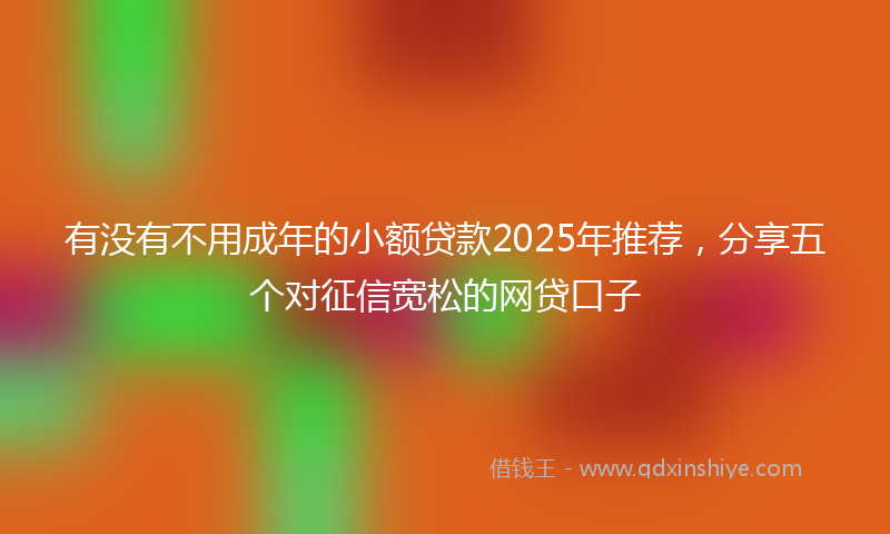 有没有不用成年的小额贷款2025年推荐，分享五个对征信宽松的网贷口子