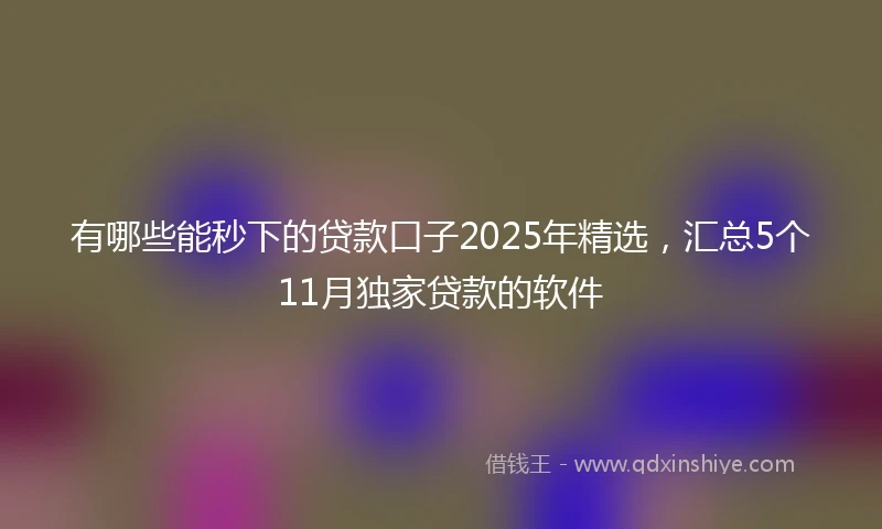 有哪些能秒下的贷款口子2025年精选，汇总5个11月独家贷款的软件