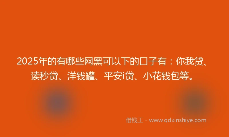 2025年的有哪些网黑可以下的口子有：你我贷、读秒贷、洋钱罐、平安i贷、小花钱包等。