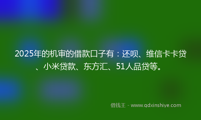 2025年的机审的借款口子有：还呗、维信卡卡贷、小米贷款、东方汇、51人品贷等。