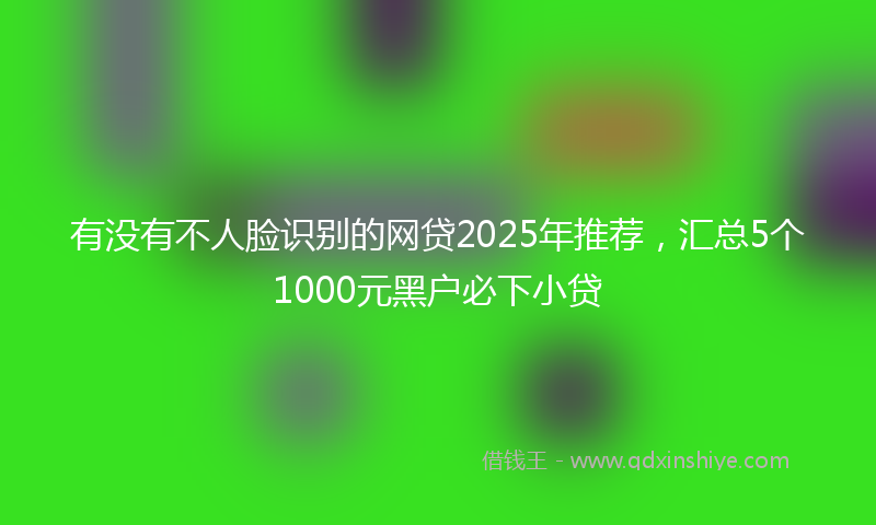 有没有不人脸识别的网贷2025年推荐，汇总5个1000元黑户必下小贷