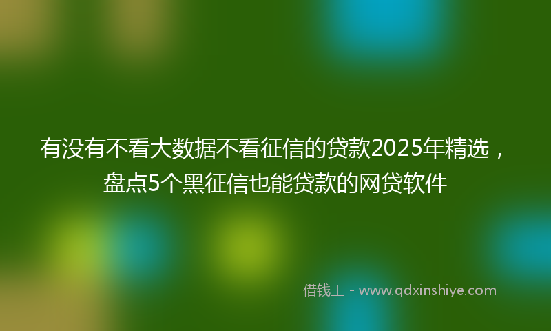 有没有不看大数据不看征信的贷款2025年精选，盘点5个黑征信也能贷款的网贷软件