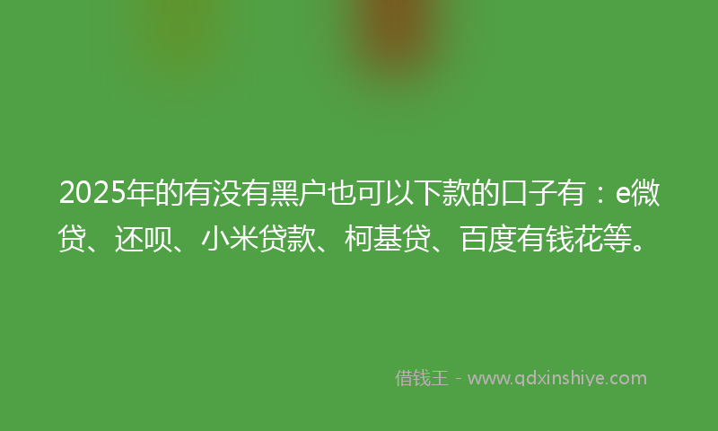 2025年的有没有黑户也可以下款的口子有：e微贷、还呗、小米贷款、柯基贷、百度有钱花等。
