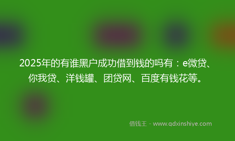 2025年的有谁黑户成功借到钱的吗有：e微贷、你我贷、洋钱罐、团贷网、百度有钱花等。