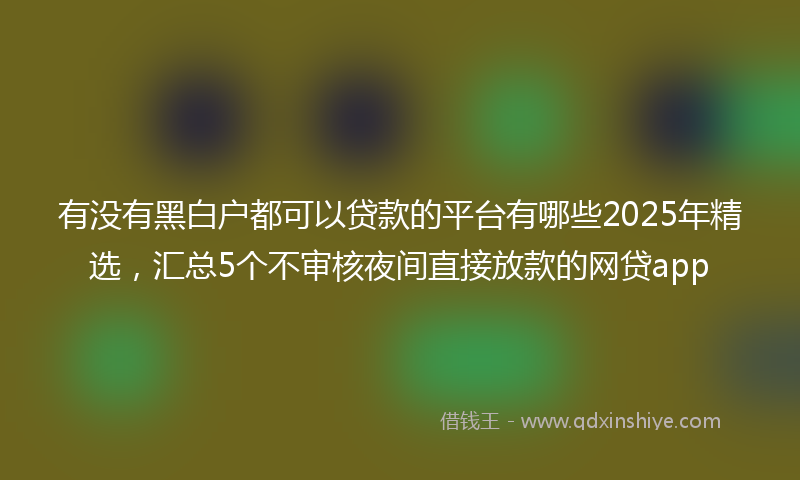 有没有黑白户都可以贷款的平台有哪些2025年精选，汇总5个不审核夜间直接放款的网贷app