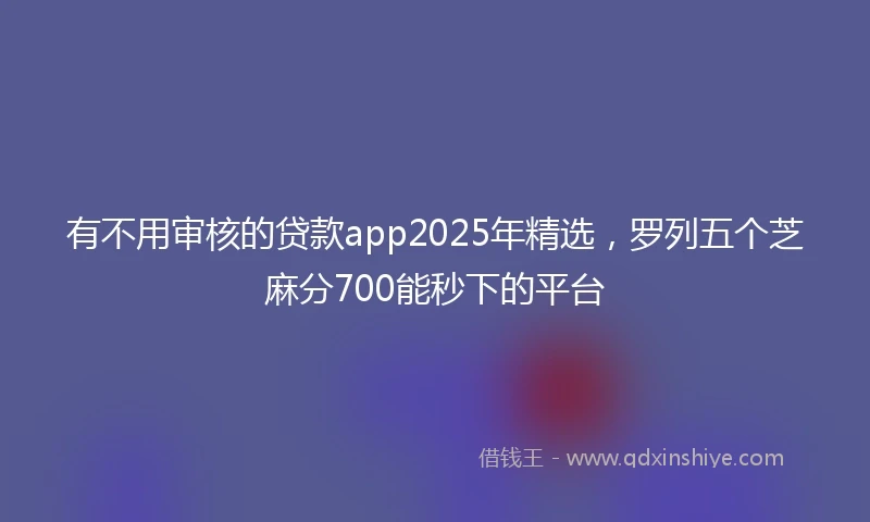 有不用审核的贷款app2025年精选，罗列五个芝麻分700能秒下的平台
