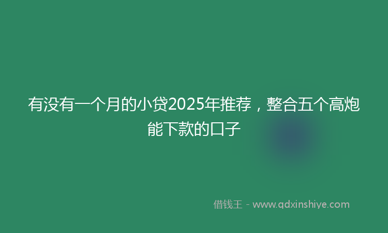 有没有一个月的小贷2025年推荐，整合五个高炮能下款的口子