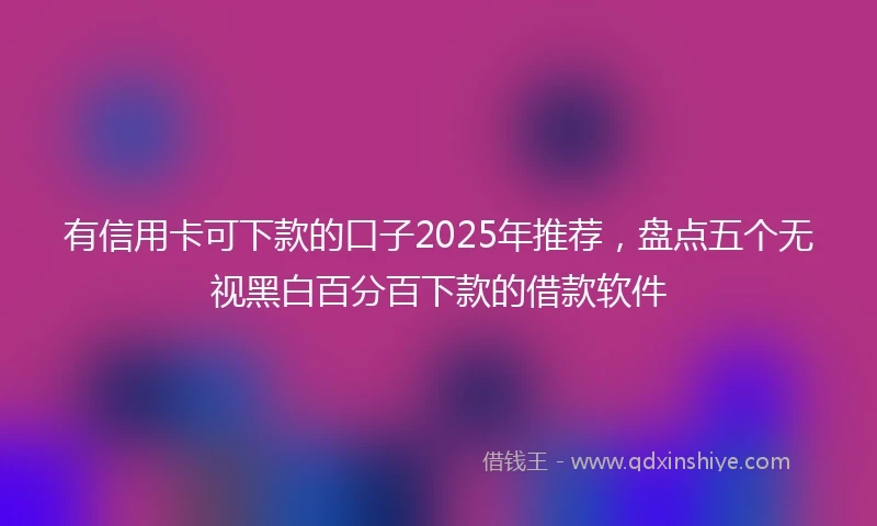 有信用卡可下款的口子2025年推荐，盘点五个无视黑白百分百下款的借款软件