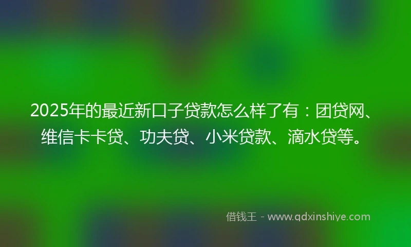 2025年的最近新口子贷款怎么样了有：团贷网、维信卡卡贷、功夫贷、小米贷款、滴水贷等。