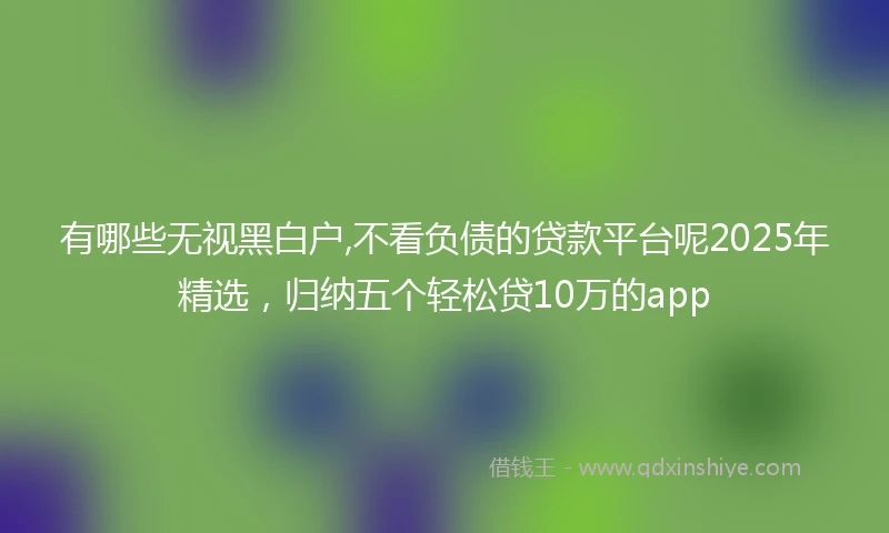 有哪些无视黑白户,不看负债的贷款平台呢2025年精选，归纳五个轻松贷10万的app
