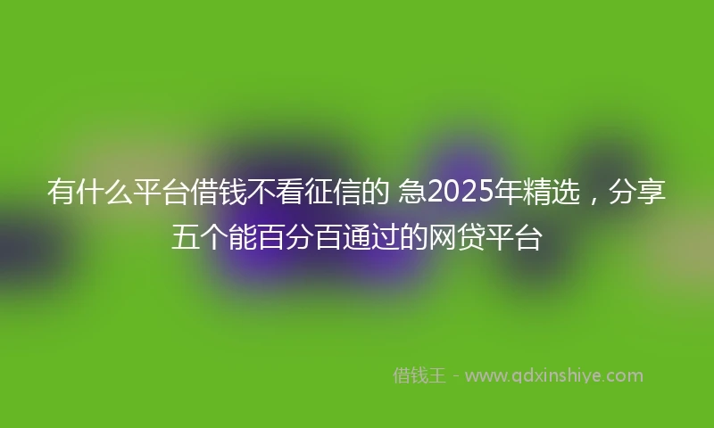 有什么平台借钱不看征信的 急2025年精选，分享五个能百分百通过的网贷平台