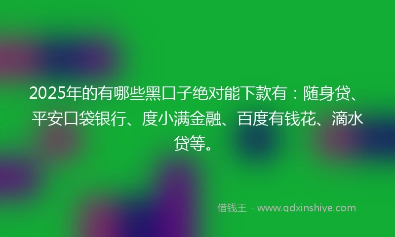2025年的有哪些黑口子绝对能下款有：随身贷、平安口袋银行、度小满金融、百度有钱花、滴水贷等。
