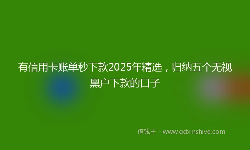 有信用卡账单秒下款2025年精选，归纳五个无视黑户下款的口子