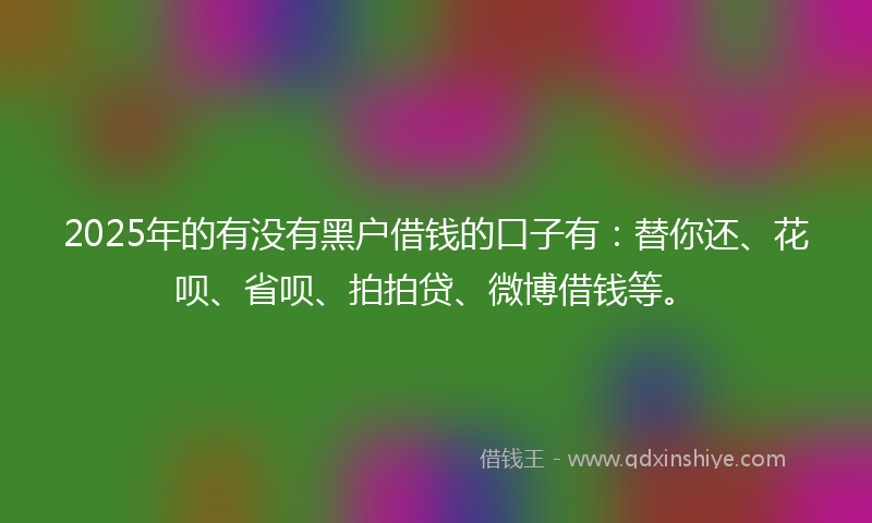 2025年的有没有黑户借钱的口子有：替你还、花呗、省呗、拍拍贷、微博借钱等。